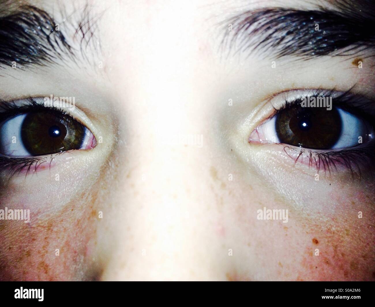 Beauty Is In The Eye Of The Beholder Essay
