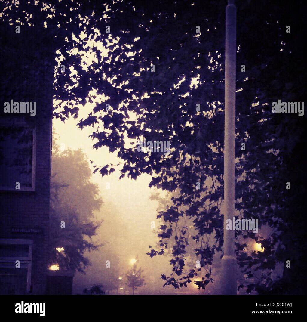 In the street Stock Photo, Royalty Free Image: 310051550 - Alamy