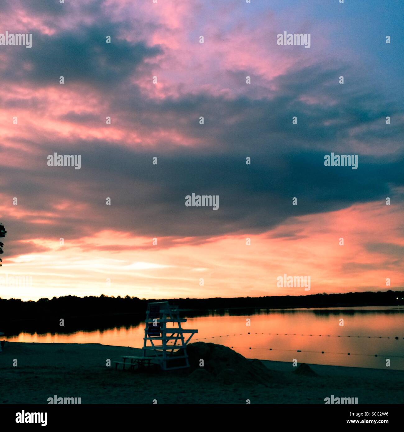 Vibrant Stock Photo, Royalty Free Image: 310052322 - Alamy