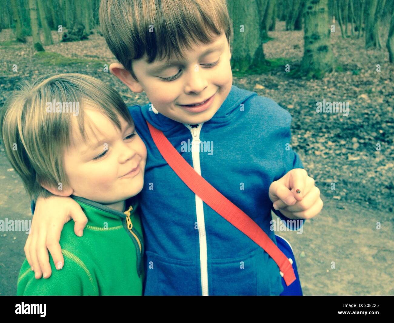 Brotherly love Stock Photo, Royalty Free Image 310096253 Alamy