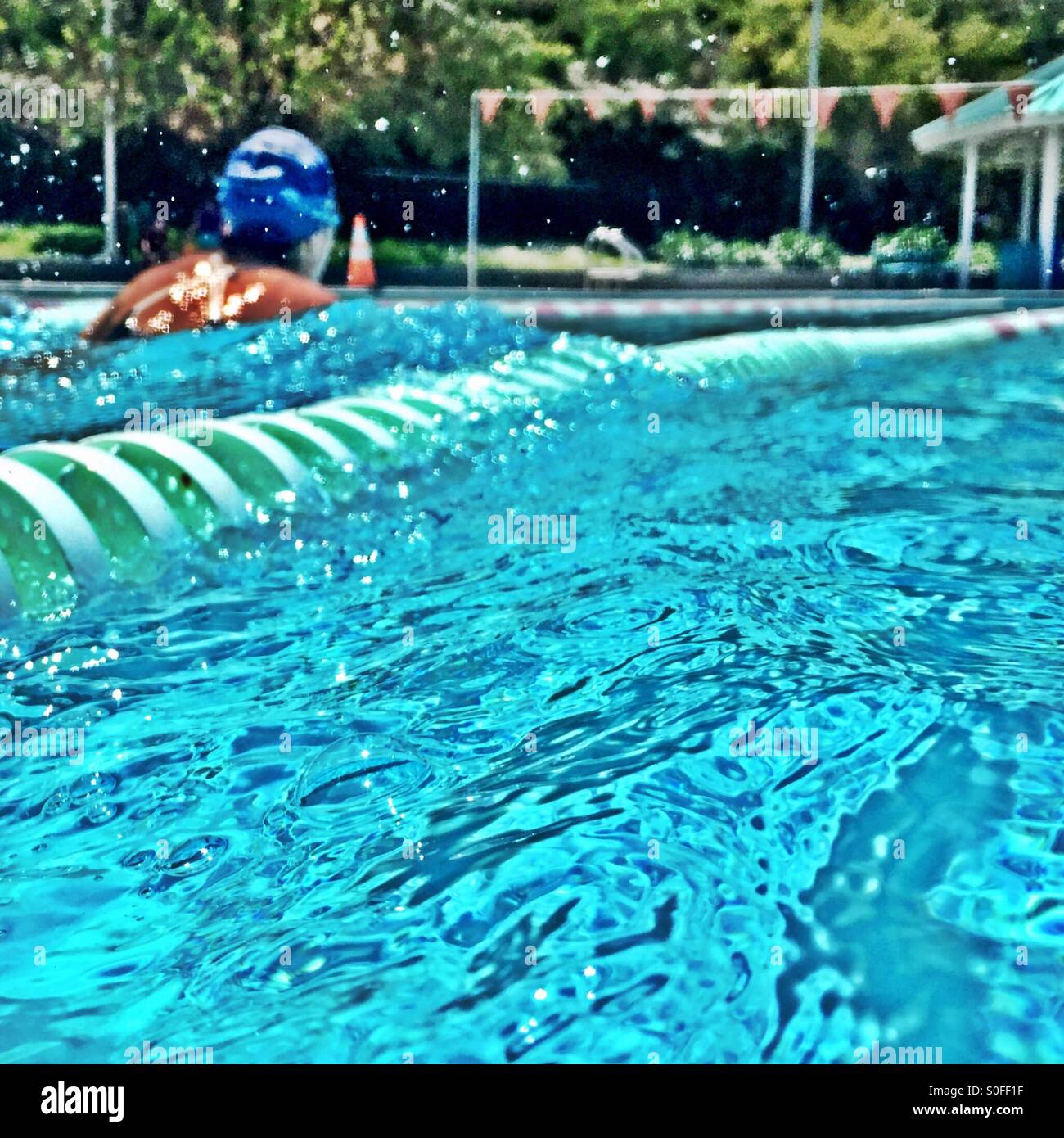 stock photo woman swimming breaststroke in outdoor olympic size swimming pool view from adjacent lane - Olympic Swimming Pool Lanes stock photo woman swimming breaststroke in outdoor olympic size swimming pool view from adjacent lane - Olympic Swimming Pool Lanes