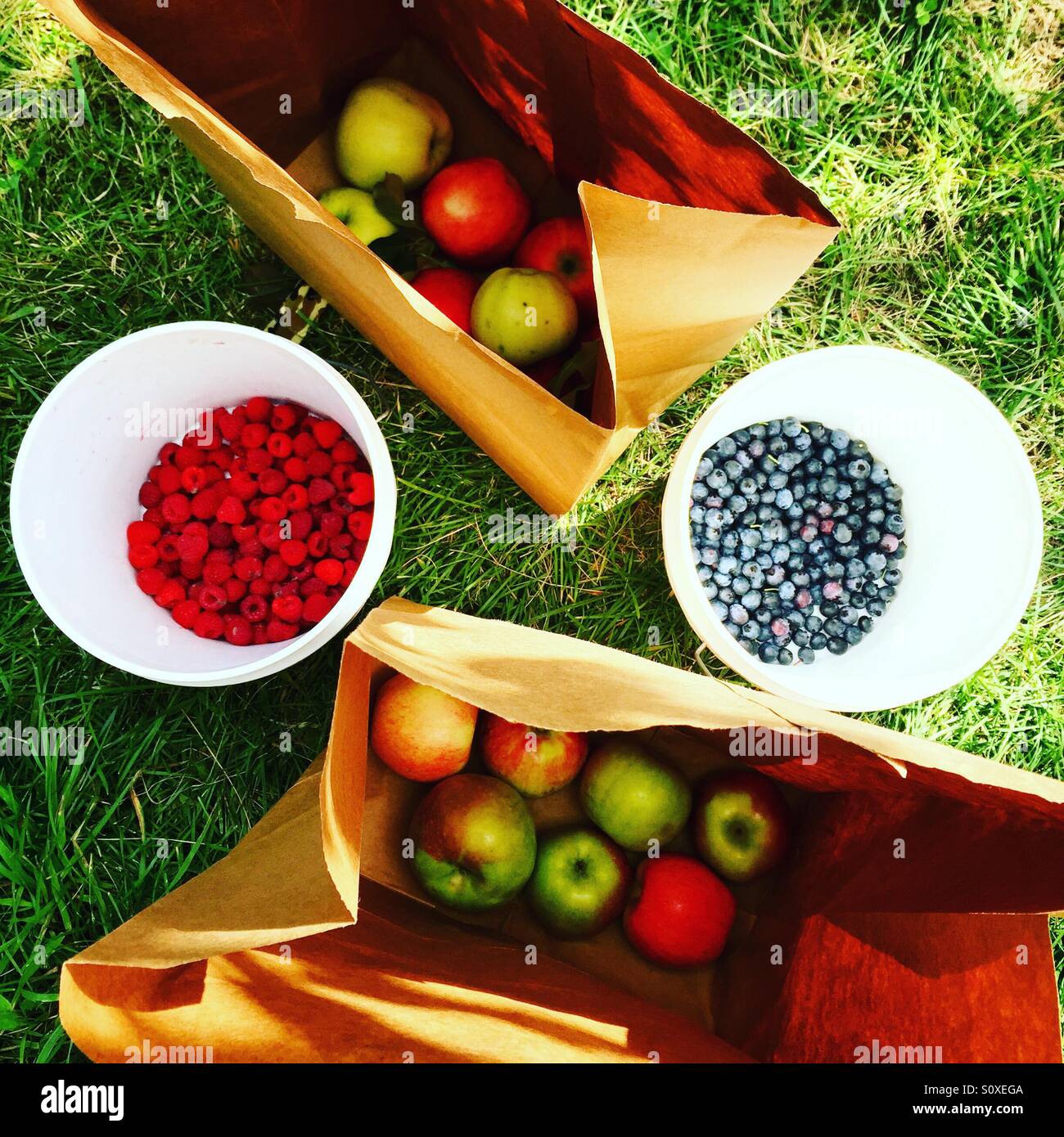 Fresh hand picked fruit Stockfoto, Lizenzfreies Bild 310368810 Alamy