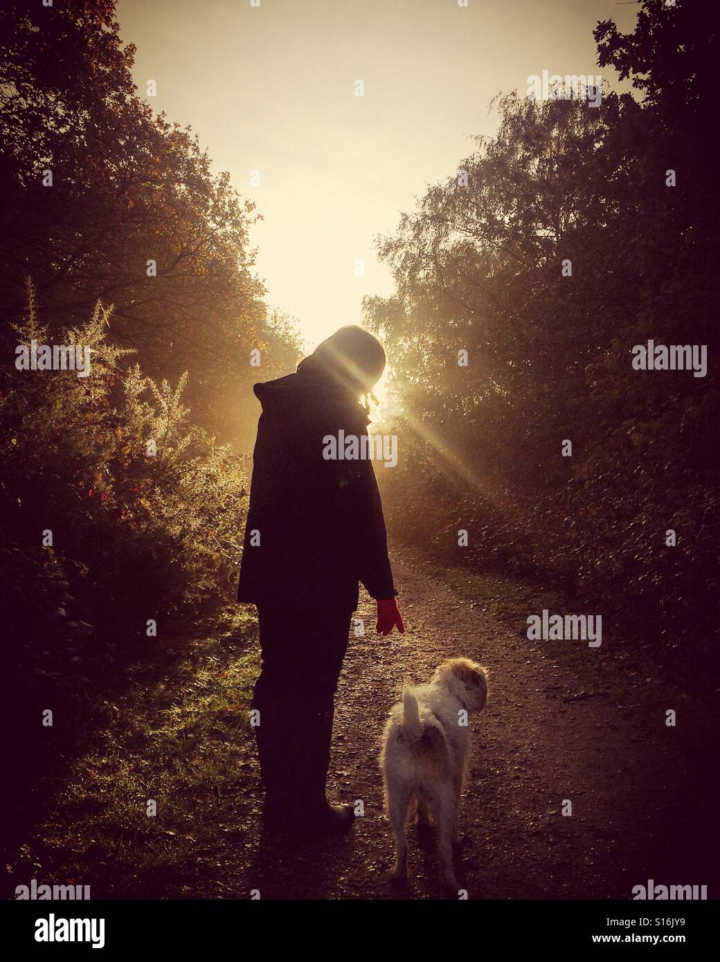 Woman and her dog on a path at sunrise Stockfoto, Lizenzfreies Bild