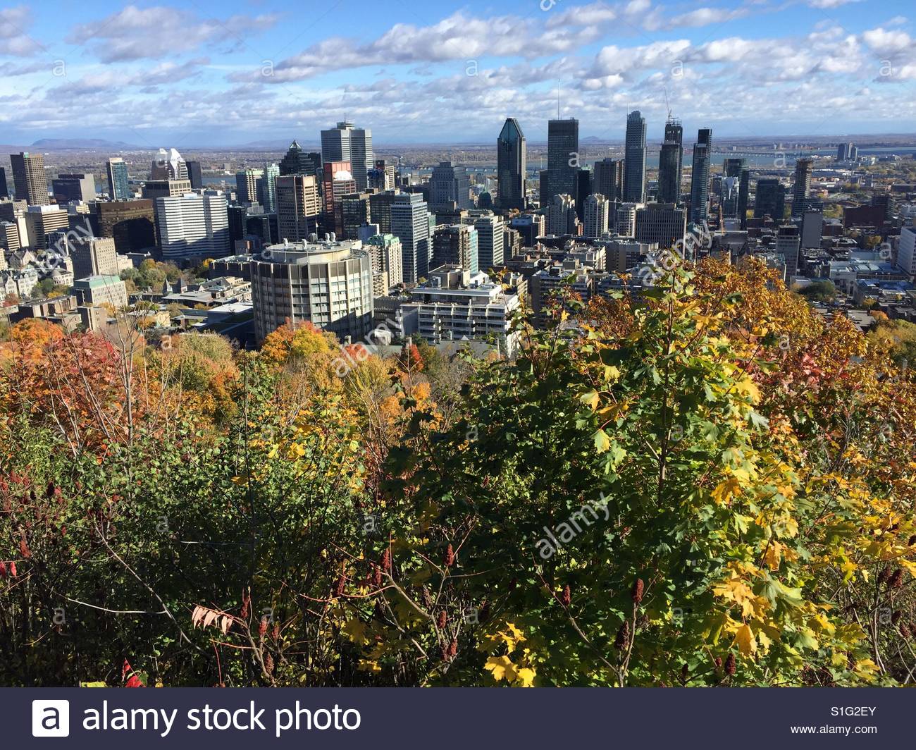Skyline of Montreal Canada in The Fall with fall foliage Stock Photo