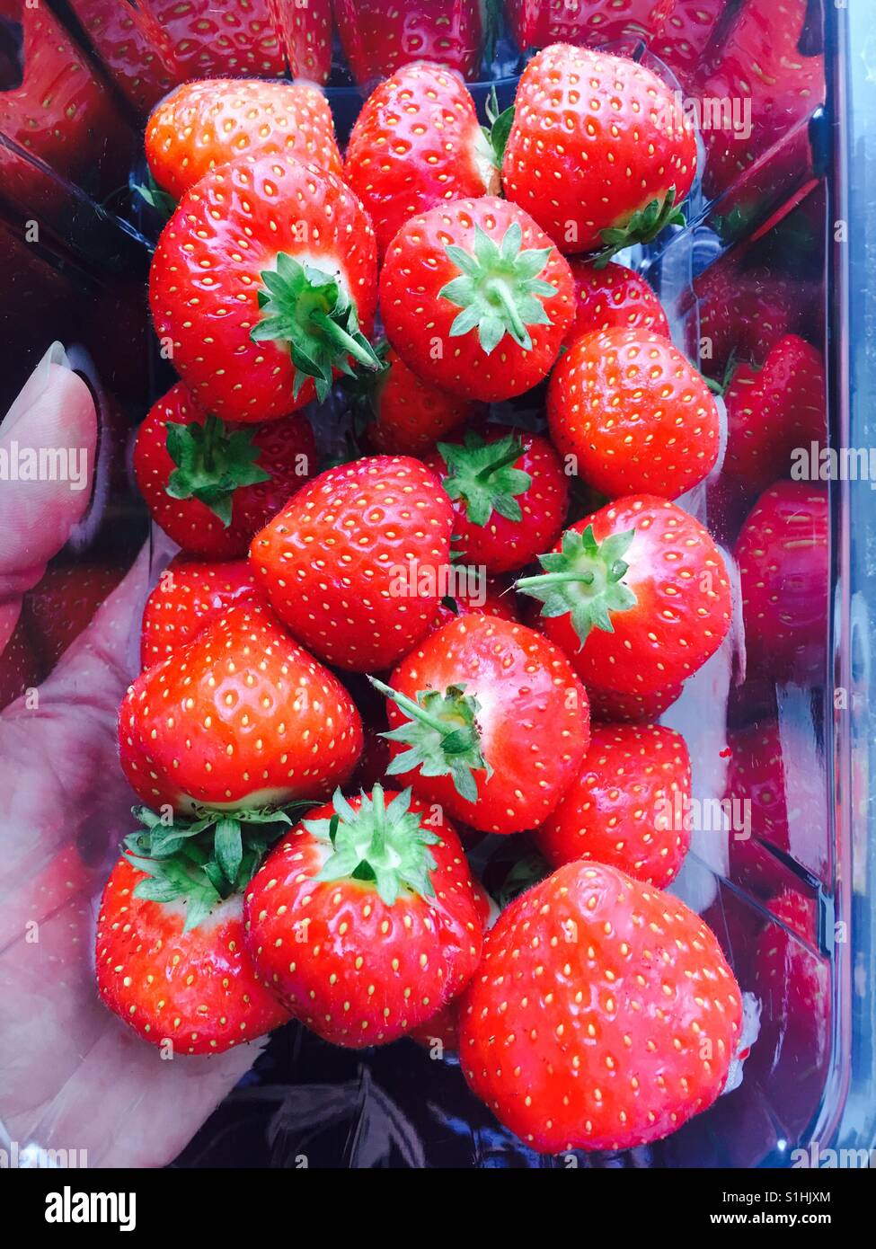 Strawberries In A Punnet Stock Photo Alamy