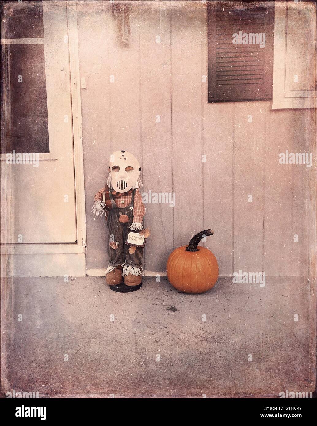 Halloween is coming Stock Photo, Royalty Free Image 310867629 Alamy