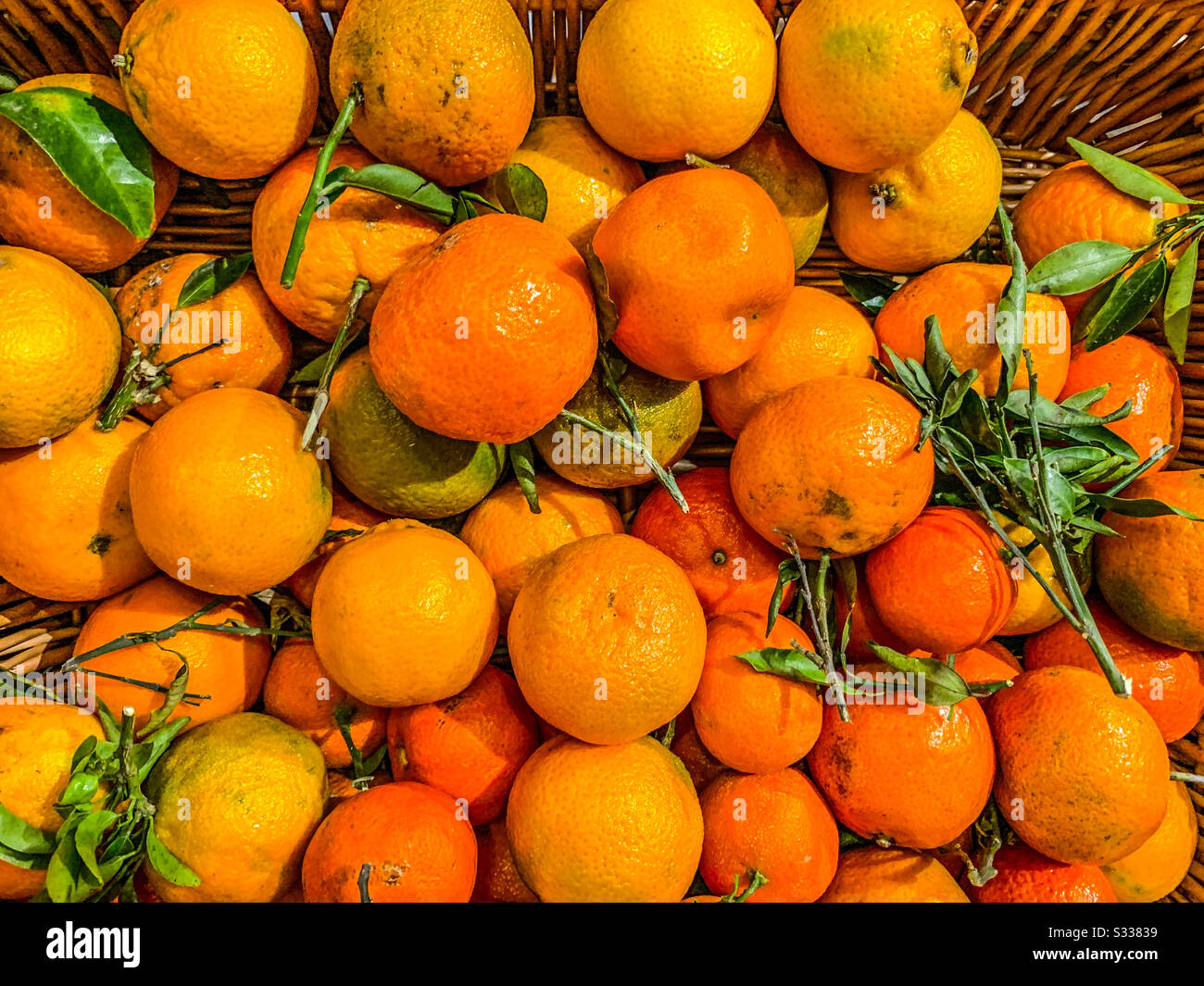 Oranges In A Basket Stock Photo Alamy