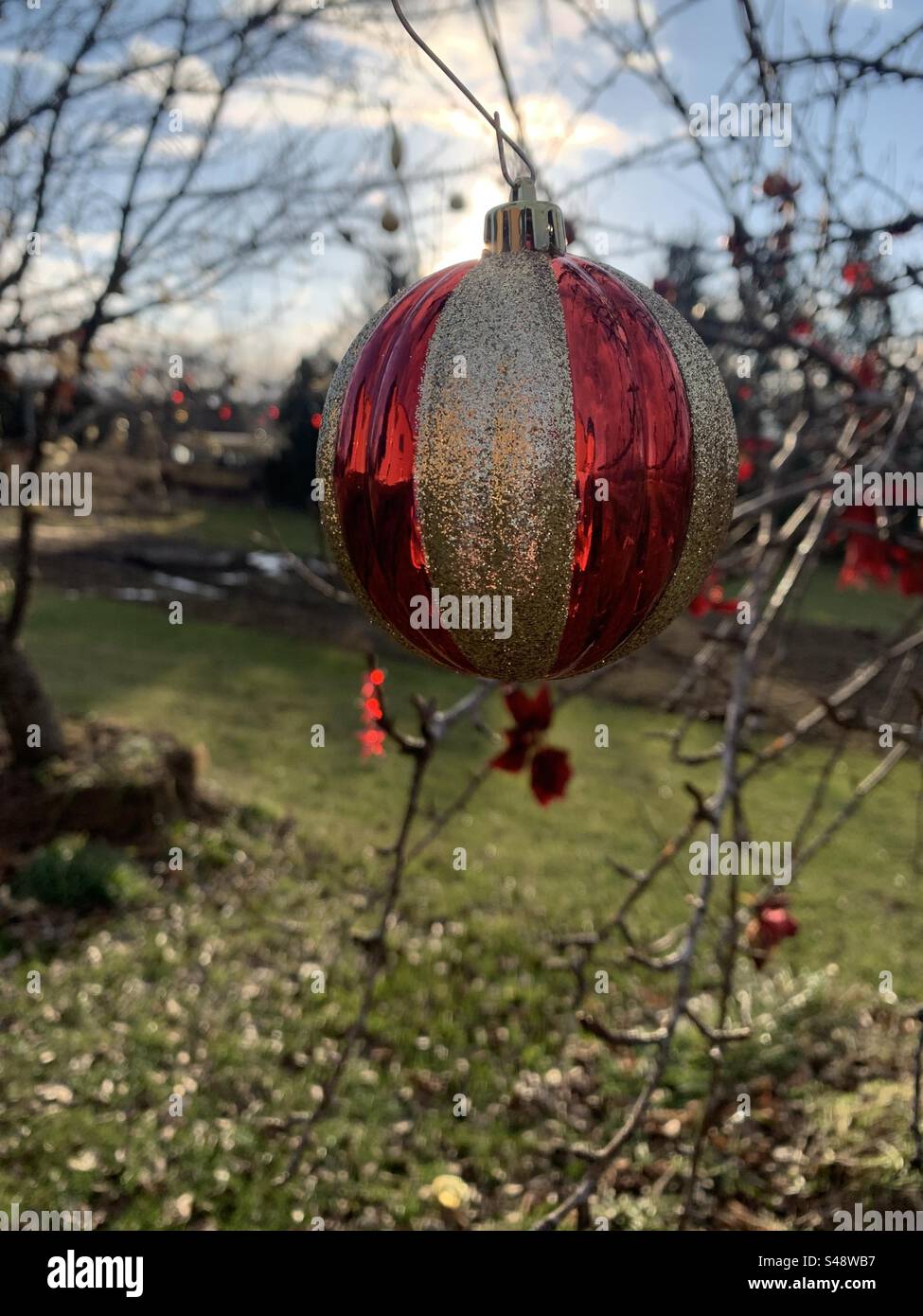 Red And Gold Christmas Ornament Stock Photo Alamy