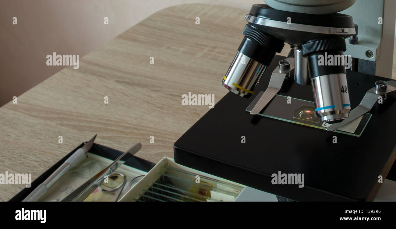 Microscope Specimens Hi Res Stock Photography And Images Alamy