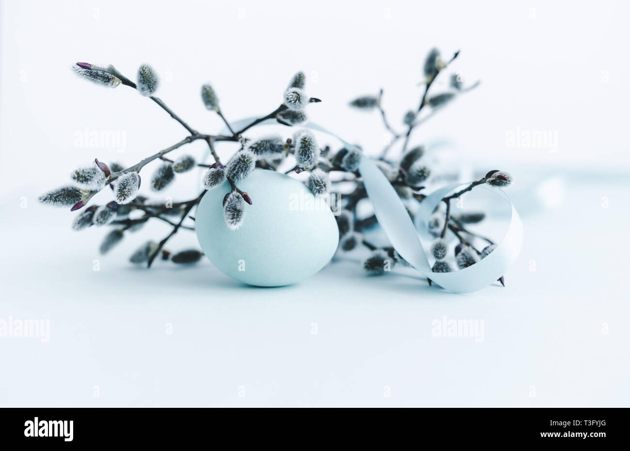 Easter Decoration Of Pussy Willow With An Egg And A Blue Ribbon On