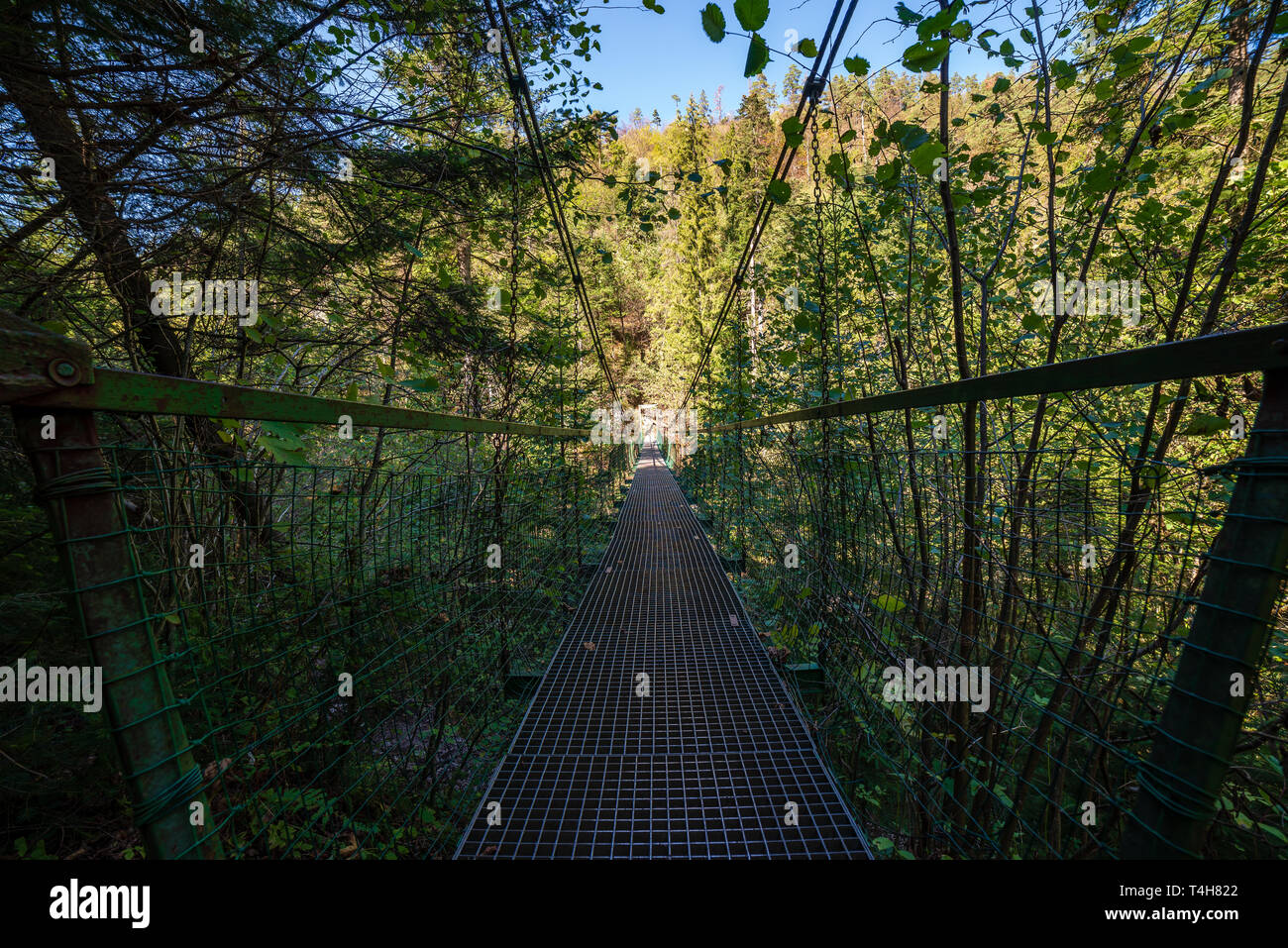 Foot Bridge Over Forest River In Summer In Green Foliage Stock Photo