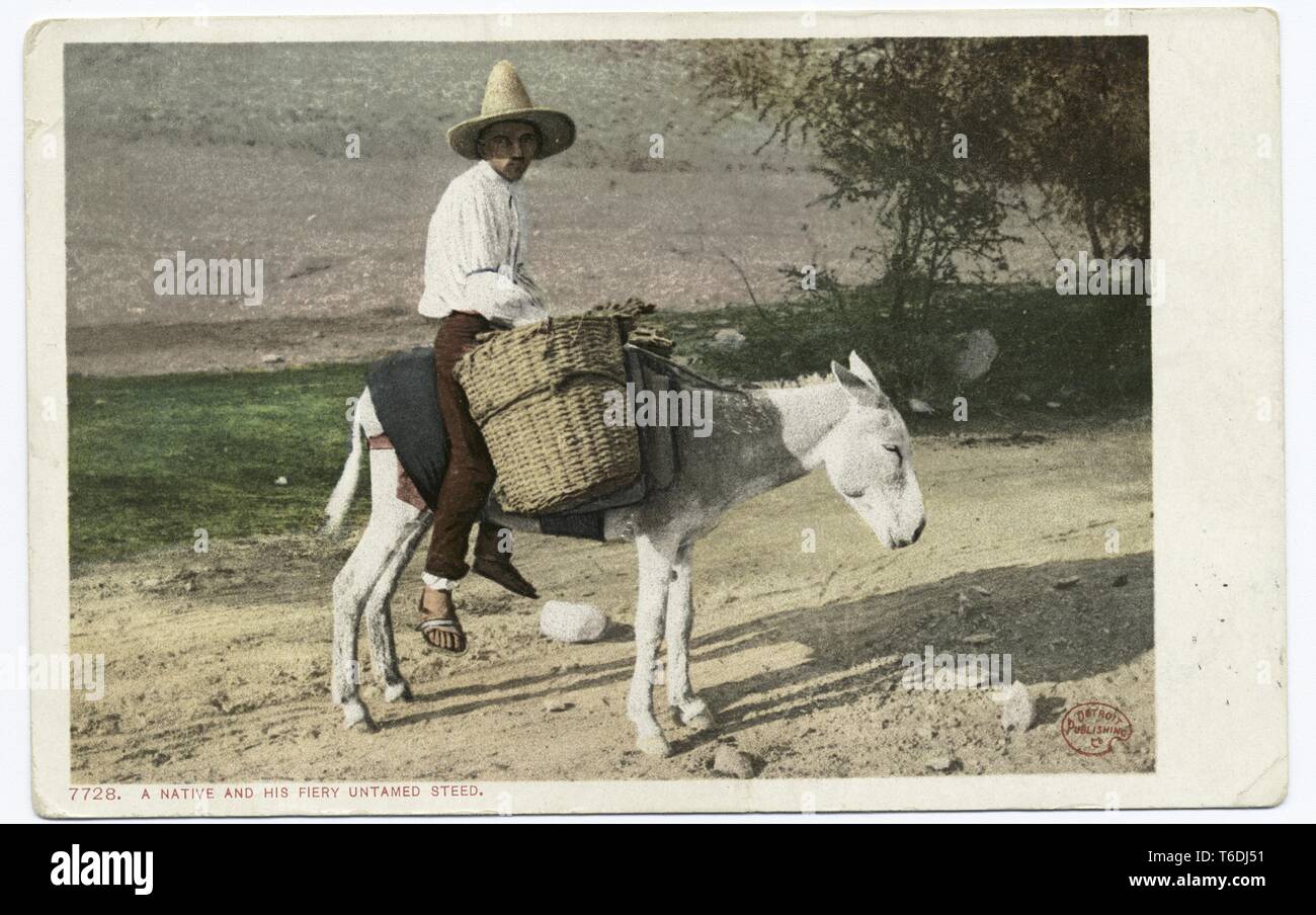 Mexican riding