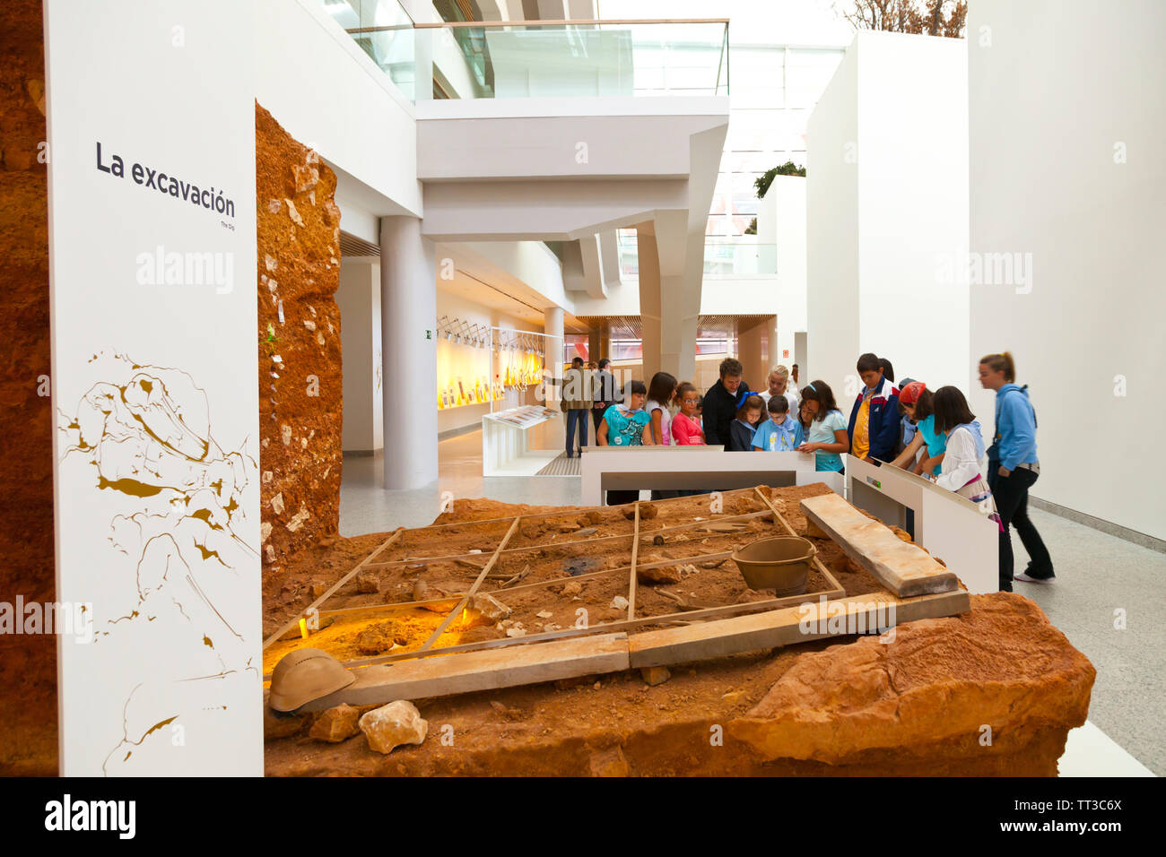 Museo De La Evoluci N Humana Burgos Castilla Y Le N Spain Human