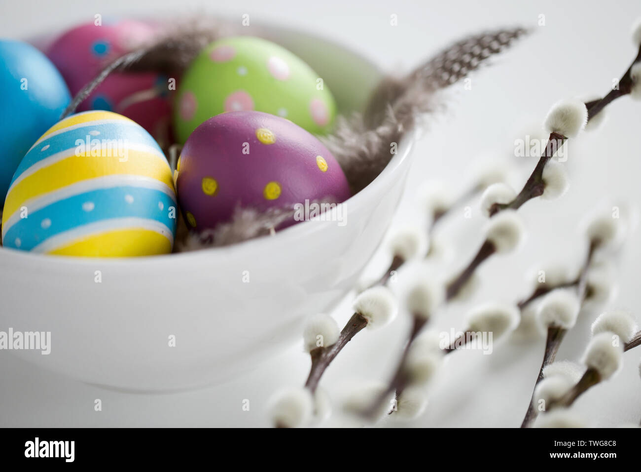 Colored Easter Eggs And Pussy Willow Branches Stock Photo Alamy
