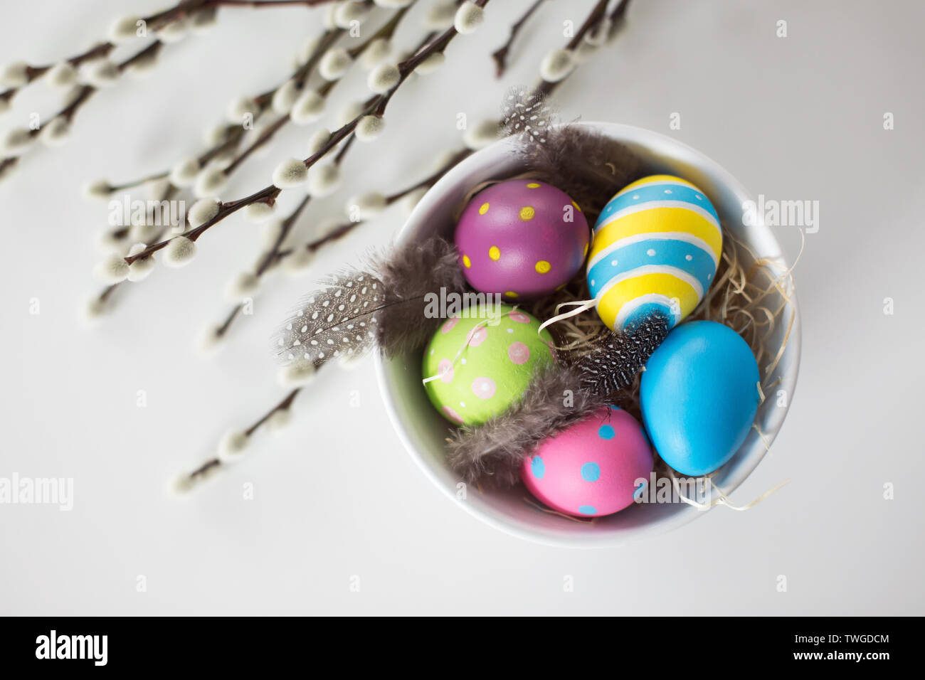 Colored Easter Eggs And Pussy Willow Branches Stock Photo Alamy