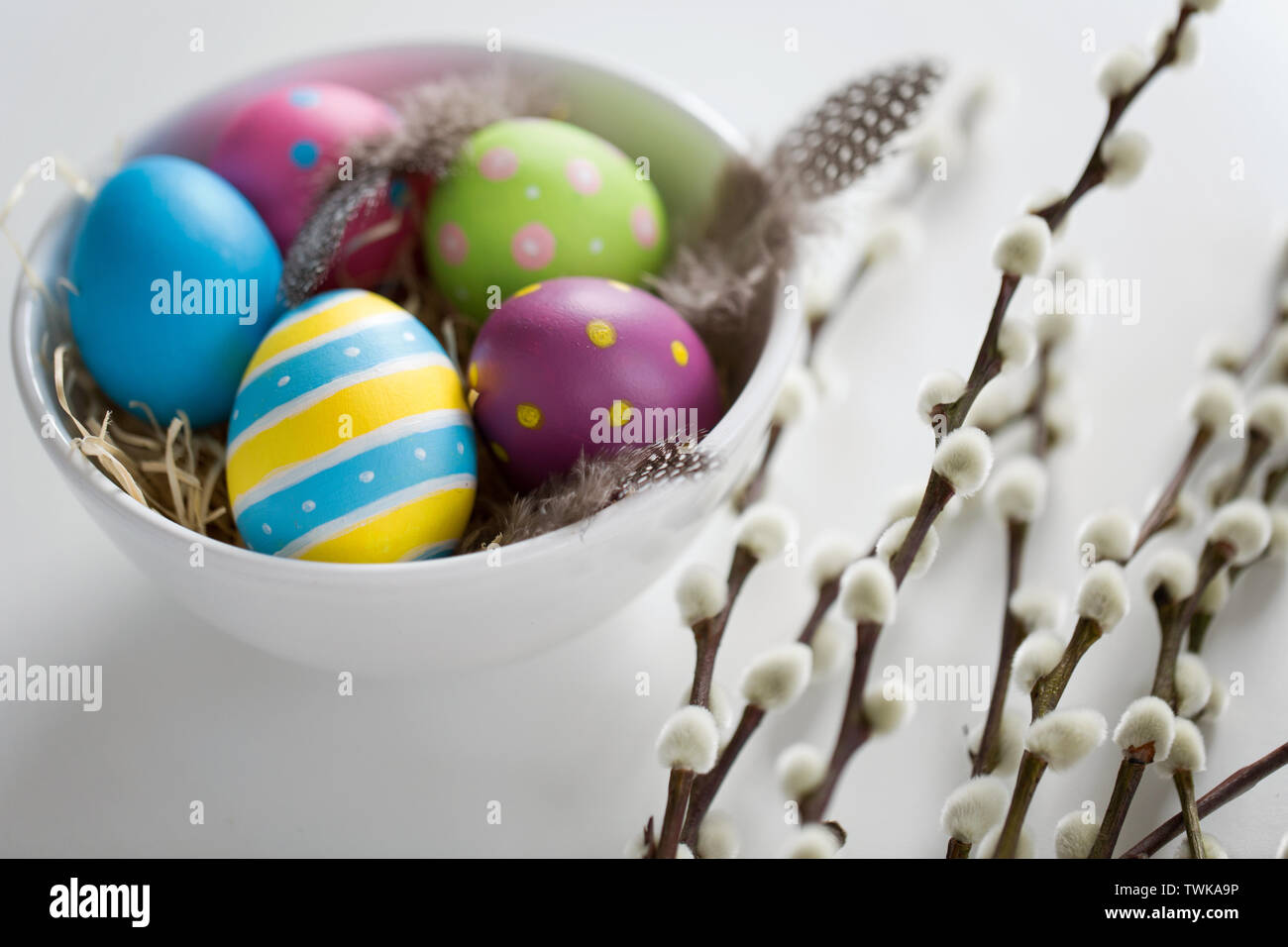 Colored Easter Eggs And Pussy Willow Branches Stock Photo Alamy