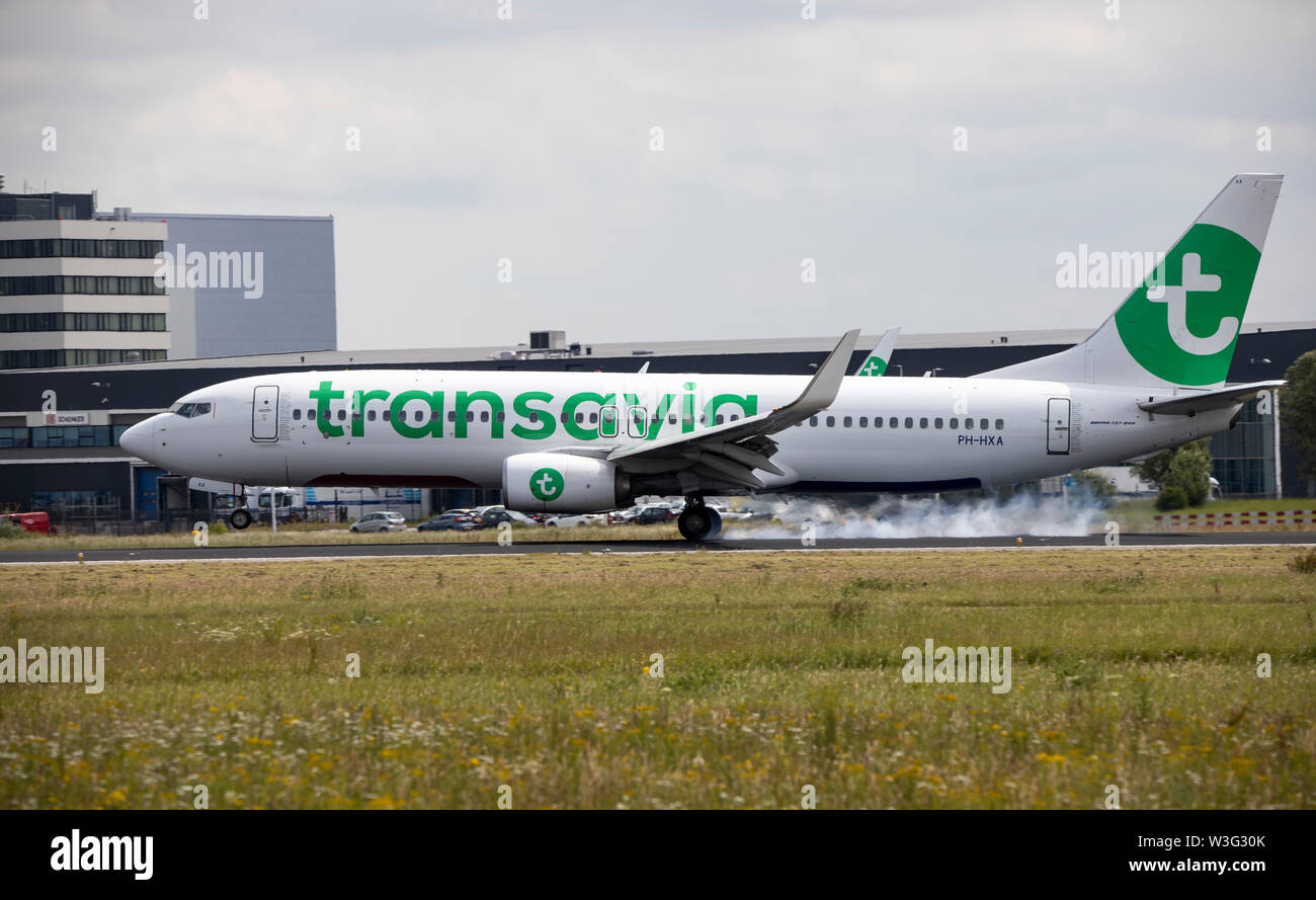 Amsterdam Schiphol Airport Transavia Boeing 737 At Landing Approach