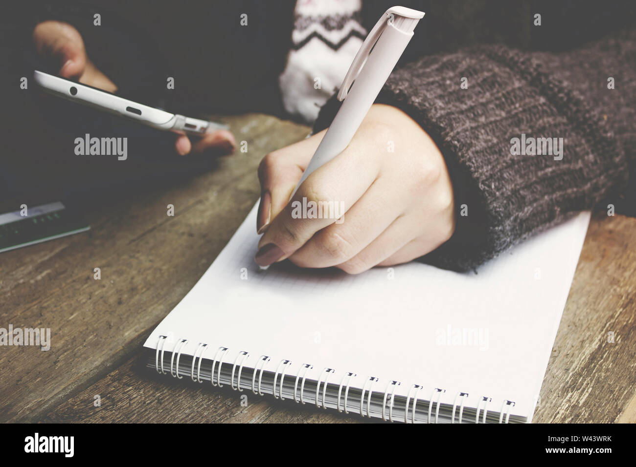 Woman Hands With Pen Writing On Notebook Stock Photo Alamy