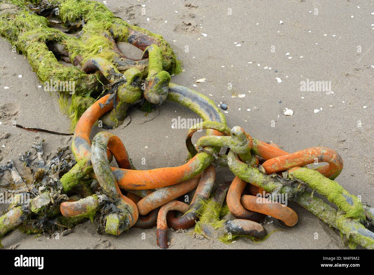 Rusty Chains On The Beach Covered In Seaweed Stock Photo Alamy