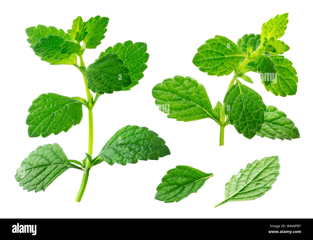 Бальзам для сосков 