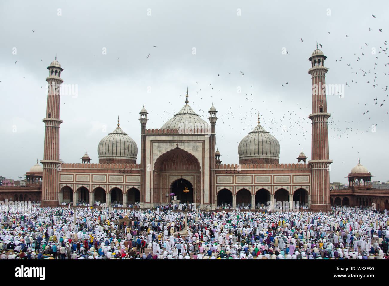 Large Group Of People Praying Namaz At Masjid Jama Masjid Old Delhi