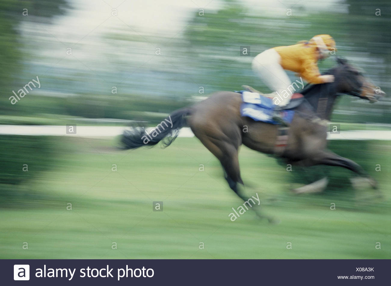 Gallop Races Bleeds Blur Side View Racecourse Horses Race Horse Riding Galopper Jockey Ride Derby