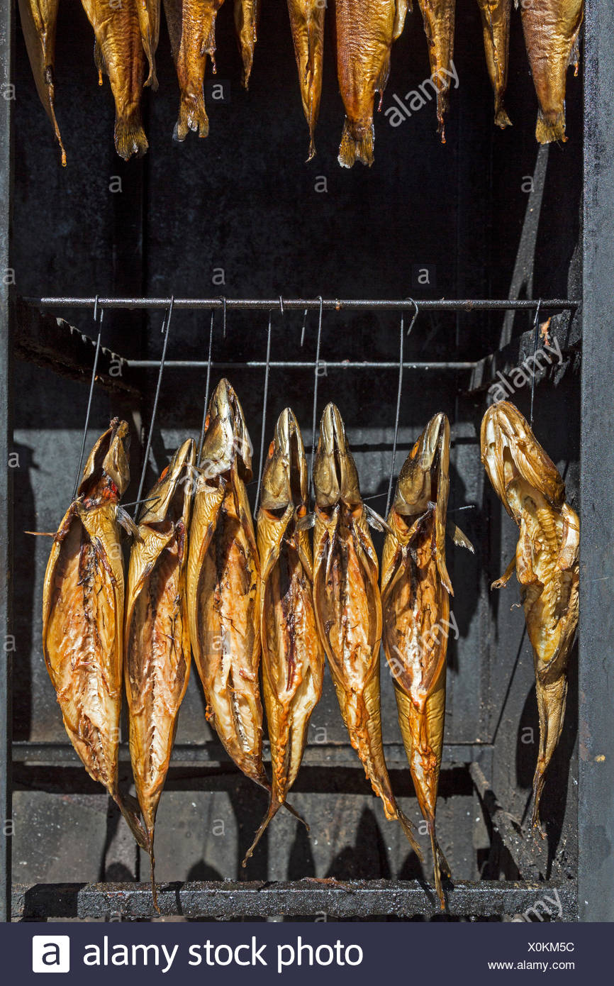 How to smoke fish in smokehouse What can smoke fish 4 How to smoke fish in smokehouse What can smoke fish 77