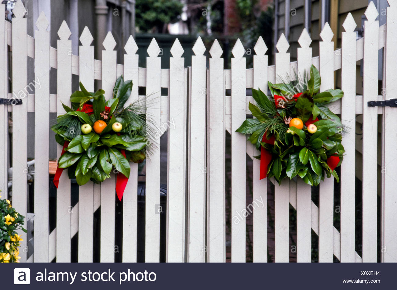 christmas decorations of greenery wreaths decorate on white picket fence gate portsmouth virginia usa - Christmas Fence Decorations christmas decorations of greenery wreaths decorate on white picket fence gate portsmouth virginia usa - Christmas Fence Decorations