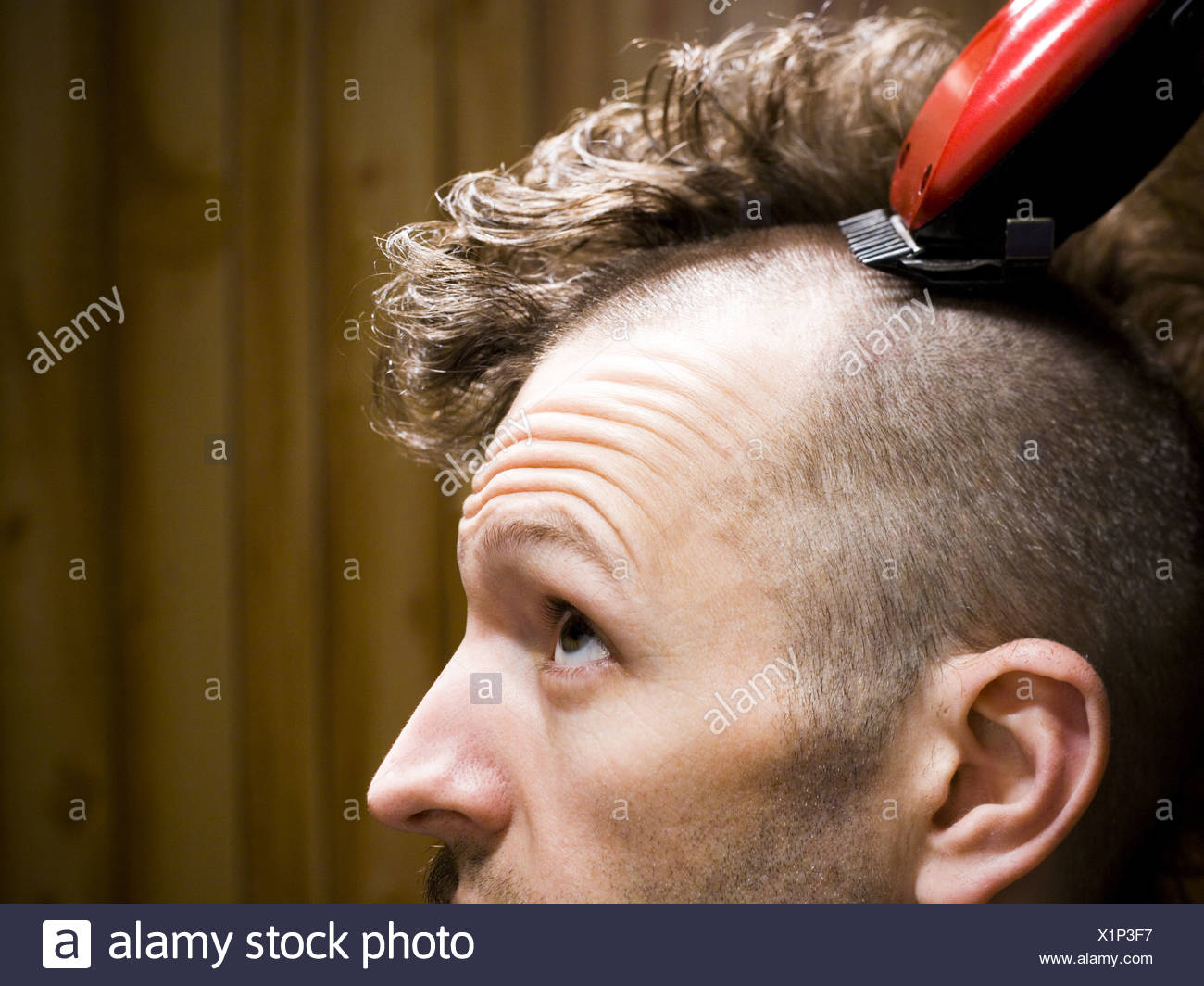 Are Having head shaved phrase Right! Idea Having head shaved seems brilliant