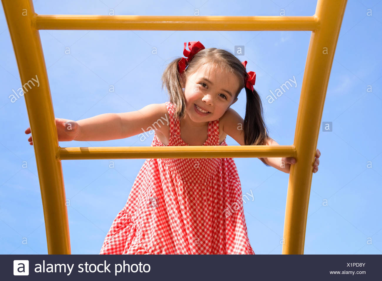 Asian girl on ladder Location of the southeast asian rainforest