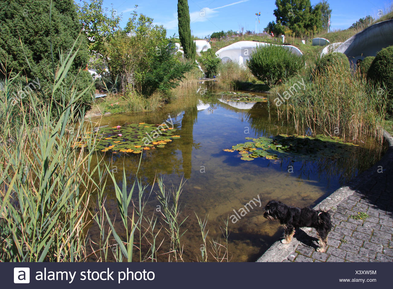 What is a biotope in ecology What is a biotope in ecology