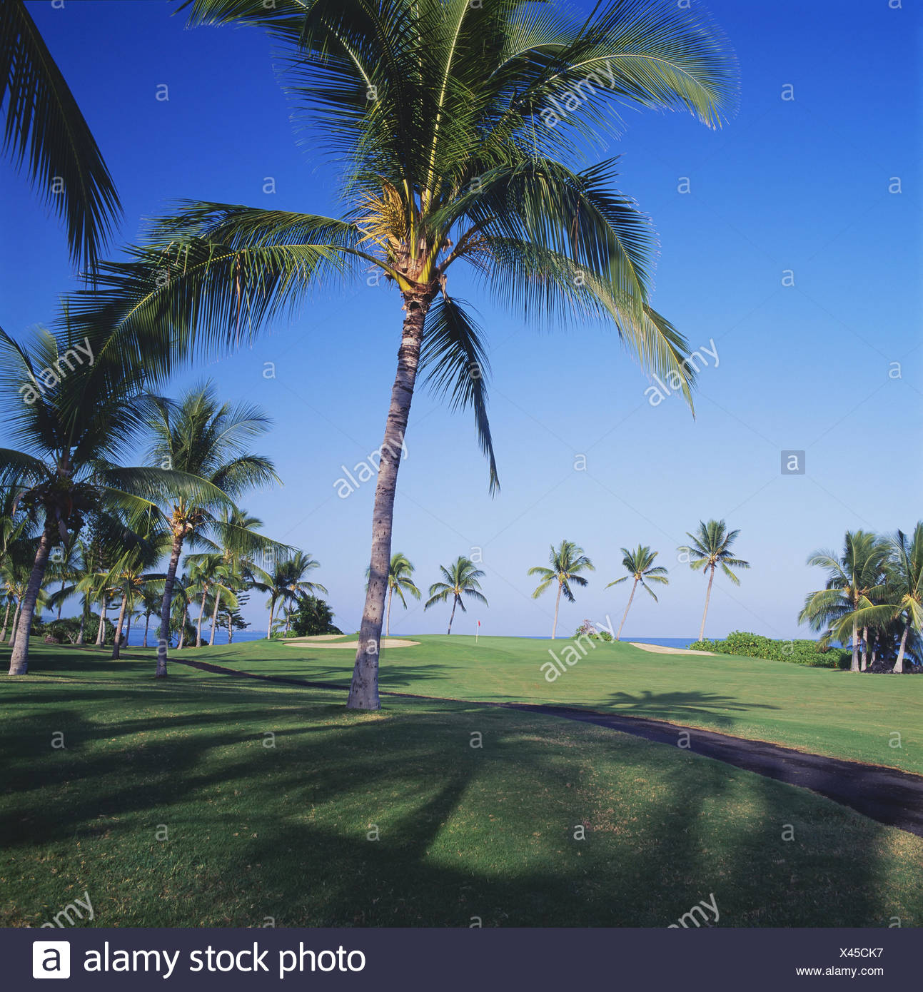hawaii big island kailua kona kona country club golf course