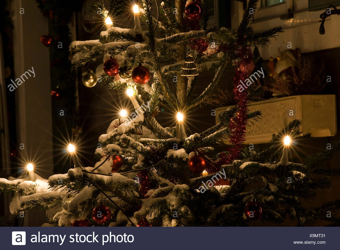 Christmas Tree Snow Xmas X Mas Shine Shines Bright Lucent Christmas Tree Snow Xmas X Mas Shine Shines Bright Lucent