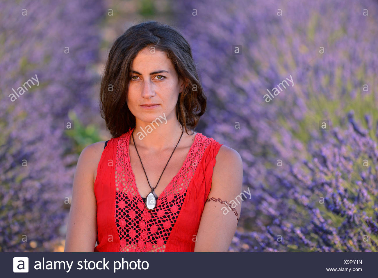 Europe France Provence Vaucluse Lavender Field Woman Red Dress Bloom Blooming Nature Girl French Brunette Flowers Flowering Europe France Provence Vaucluse Lavender Field Woman Red Dress Bloom Blooming Nature Girl French Brunette Flowers Flowering