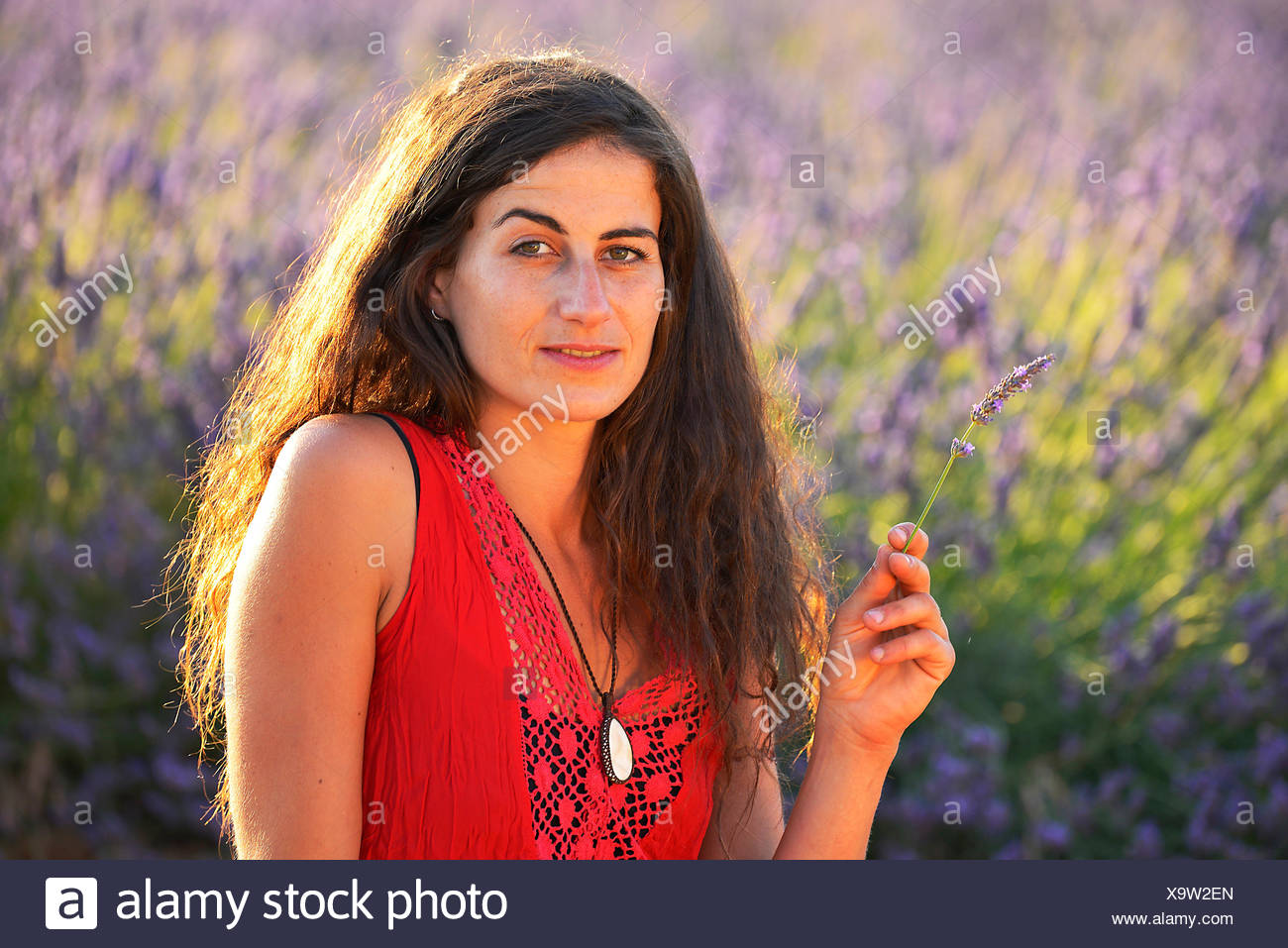 Europe France Provence Vaucluse Lavender Field Woman Walk Red Dress Bloom Blooming Nature Girl Walking French Brunette Hat Europe France Provence Vaucluse Lavender Field Woman Walk Red Dress Bloom Blooming Nature Girl Walking French Brunette Hat