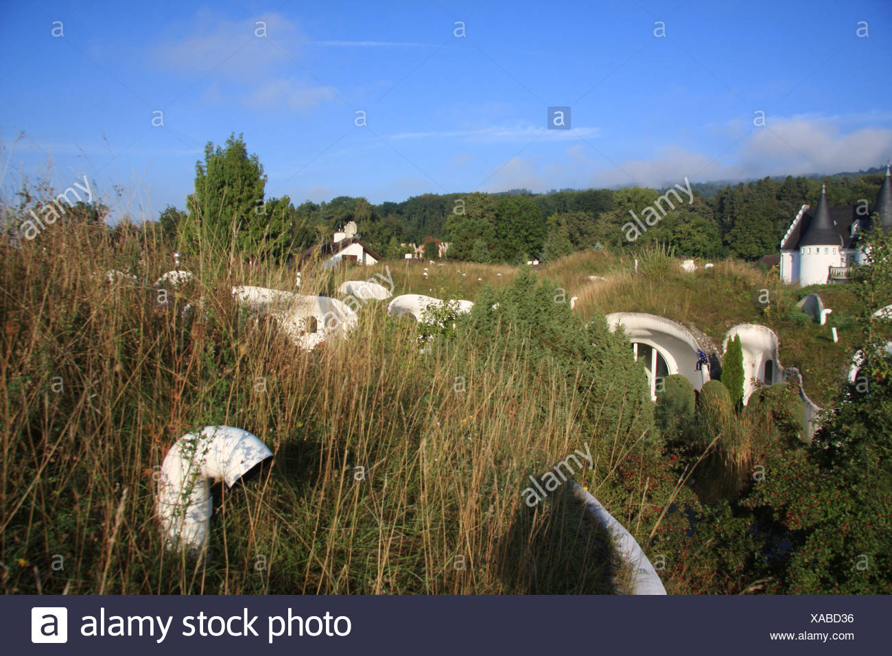 What is a biotope in ecology What is a biotope in ecology