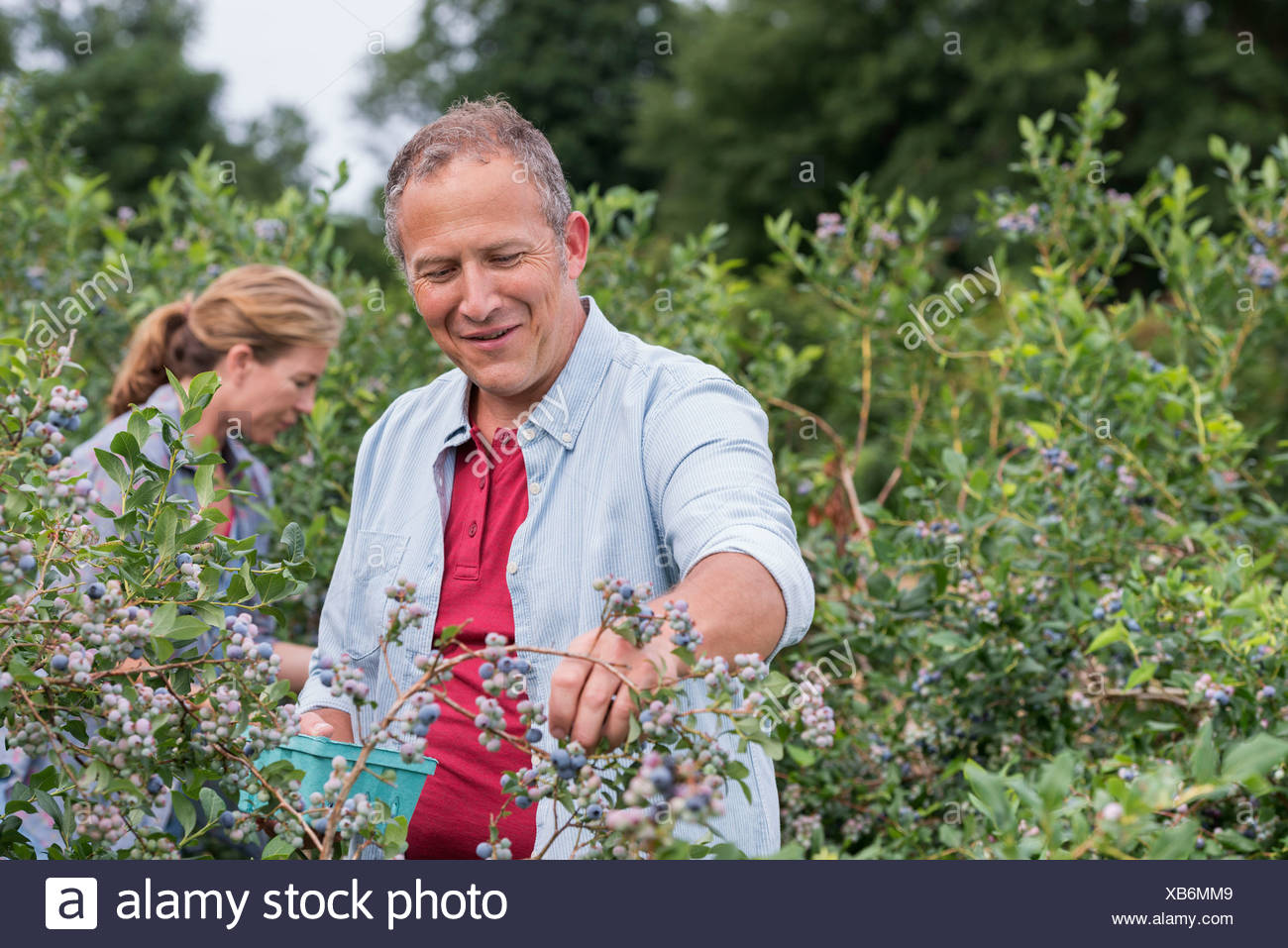 Mature farm pics
