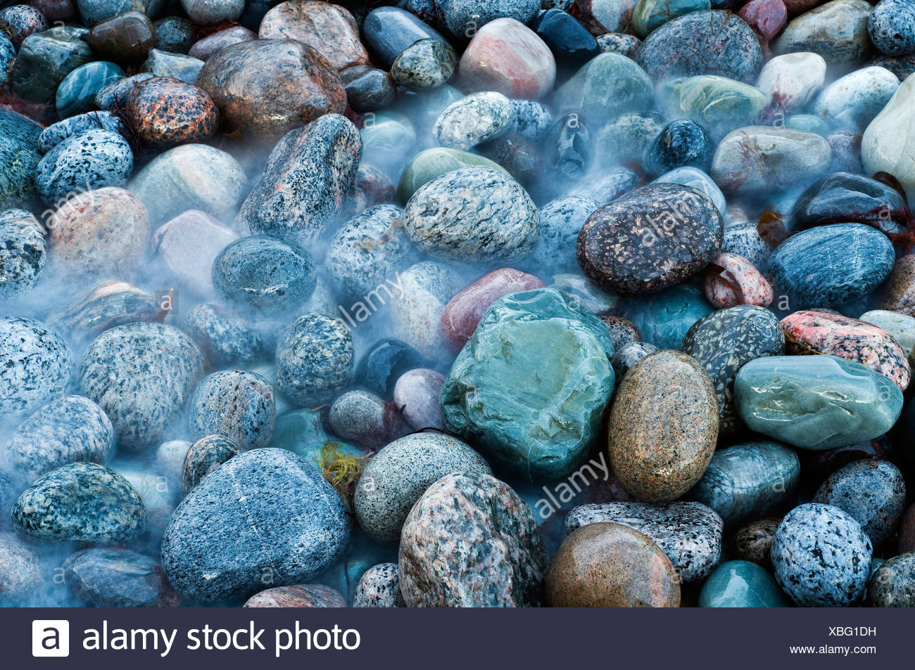 abstract detail of pebbles on the beach stock photo 282479501 alamy