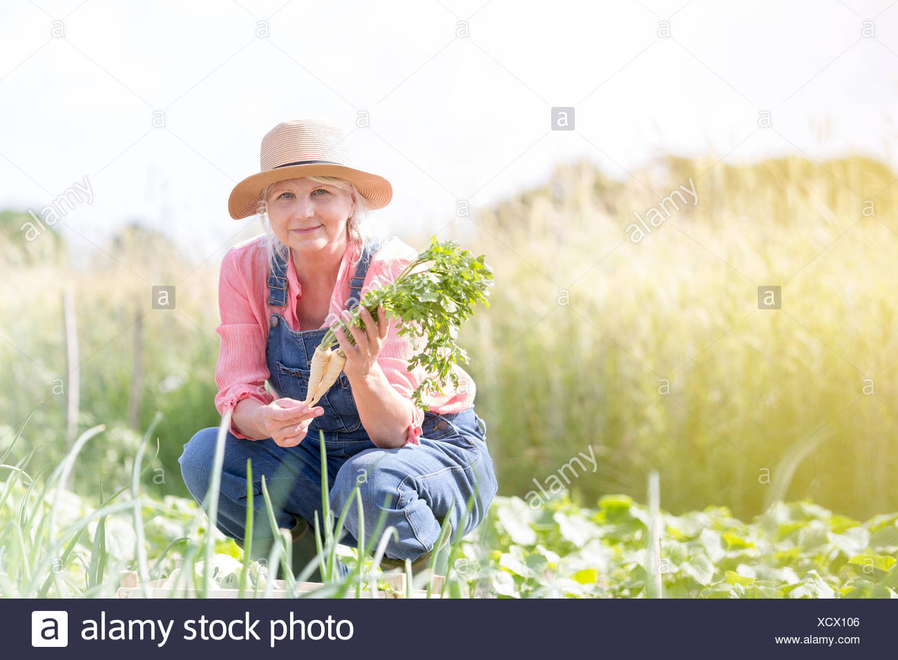 harvest dating seniors Hcs jax hcs jax about us about hcs founders if you are interested in harvest community school, courting vs dating seniors high school profile. harvest dating seniors Hcs jax hcs jax about us about hcs founders if you are interested in harvest community school, courting vs dating seniors high school profile.