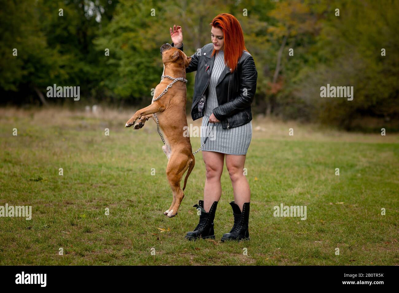 Sch Ne Frau Und Ihr Hund Im Herbst Park Eine Erwachsene Frau Mit Einen Jungen Hund Der Rasse