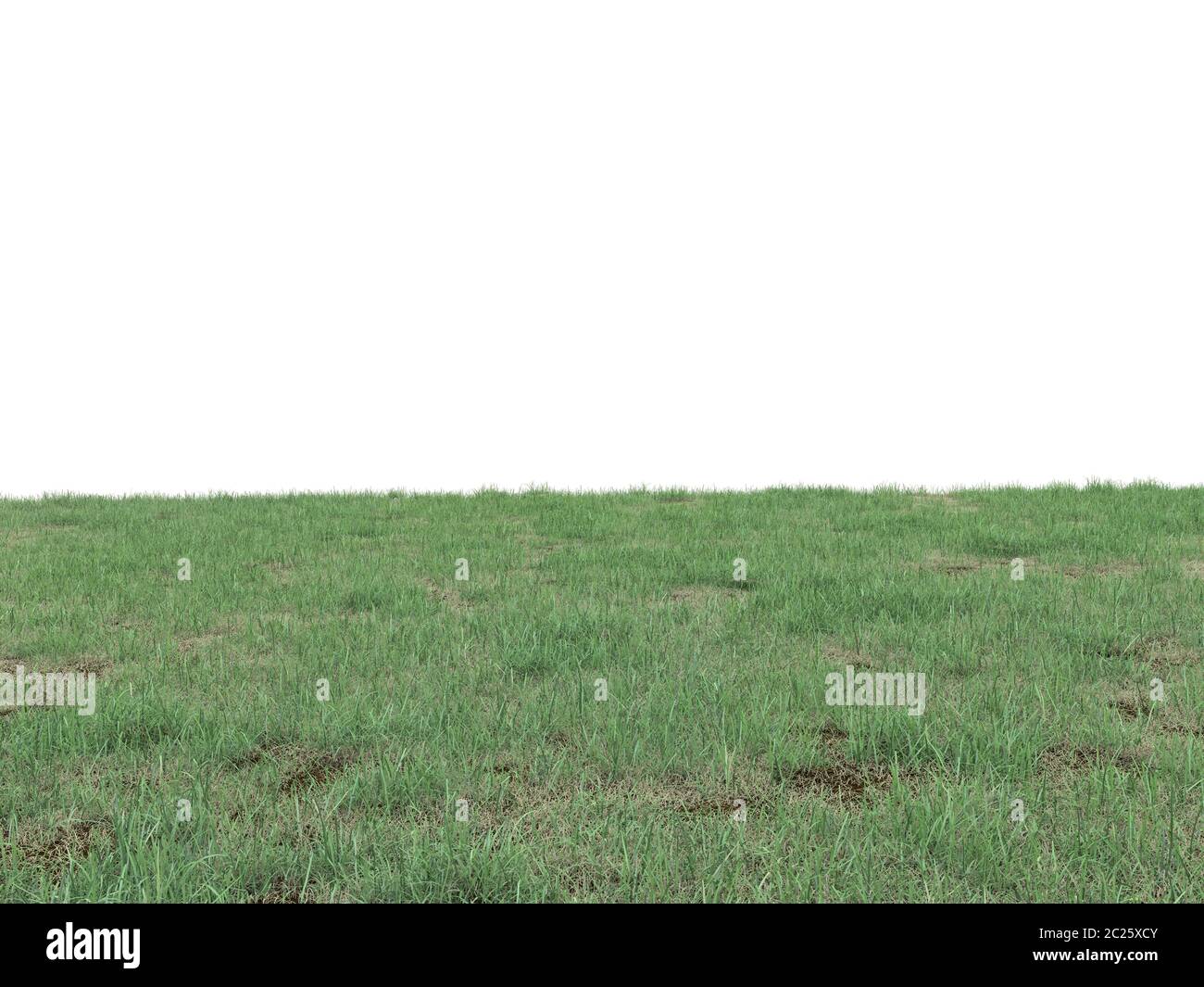 Texture of grass Fotos und Bildmaterial in hoher Auflösung Alamy