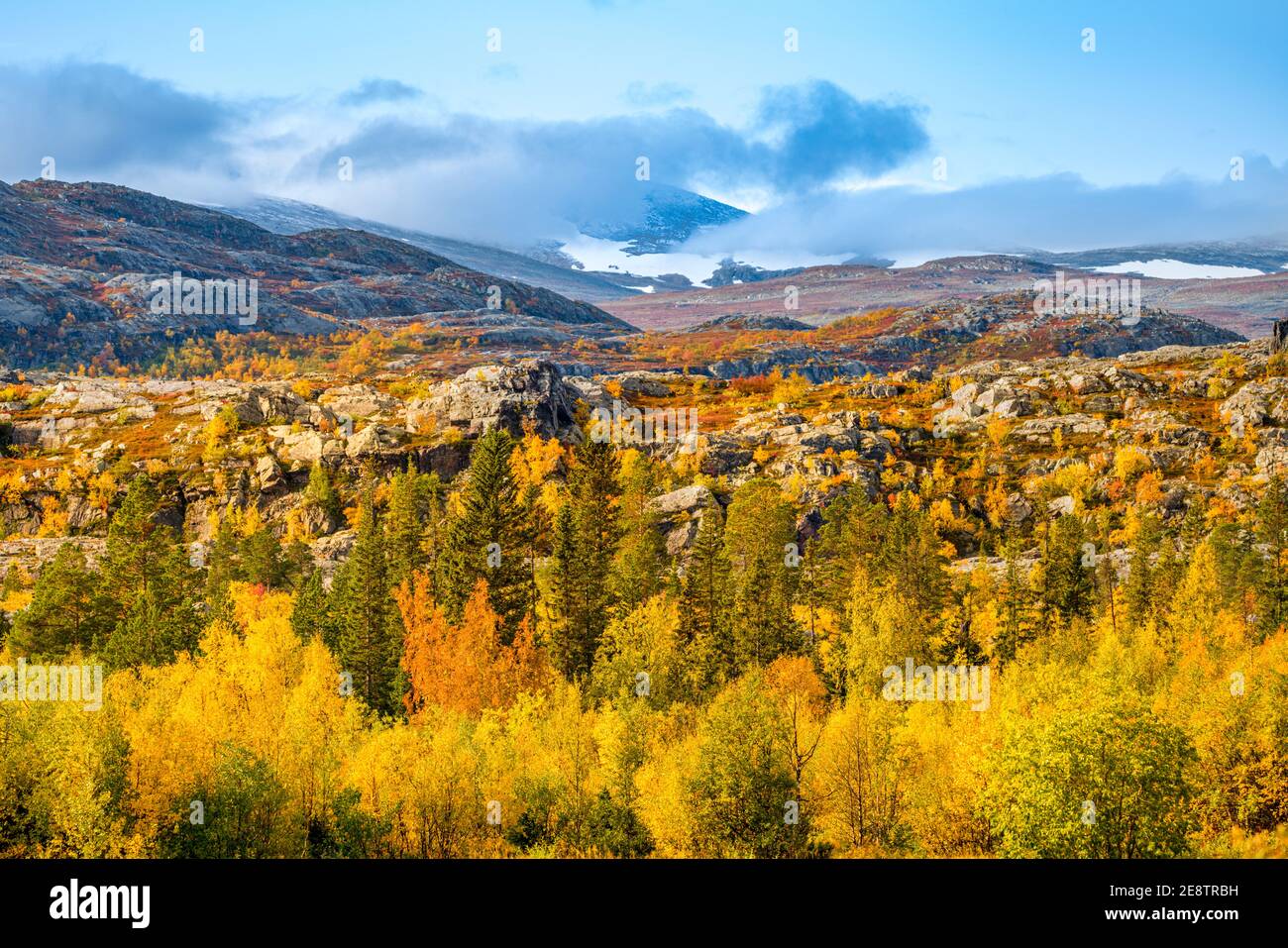 Herbstlandschaft Im Nationalpark Stora Sj Fallet Bunte Birken Und