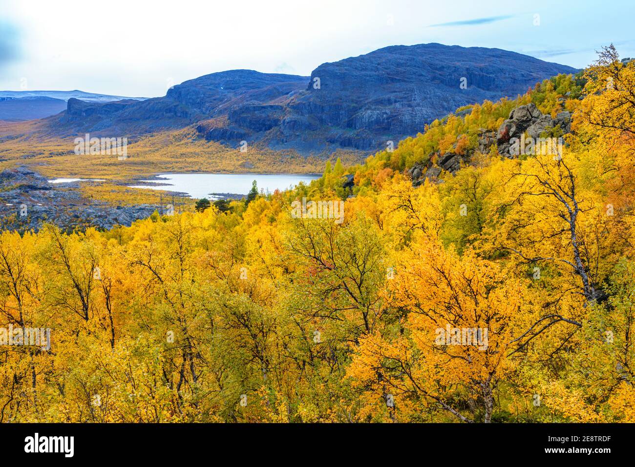 Herbstlandschaft Im Nationalpark Stora Sj Fallet Bunte Birken Und