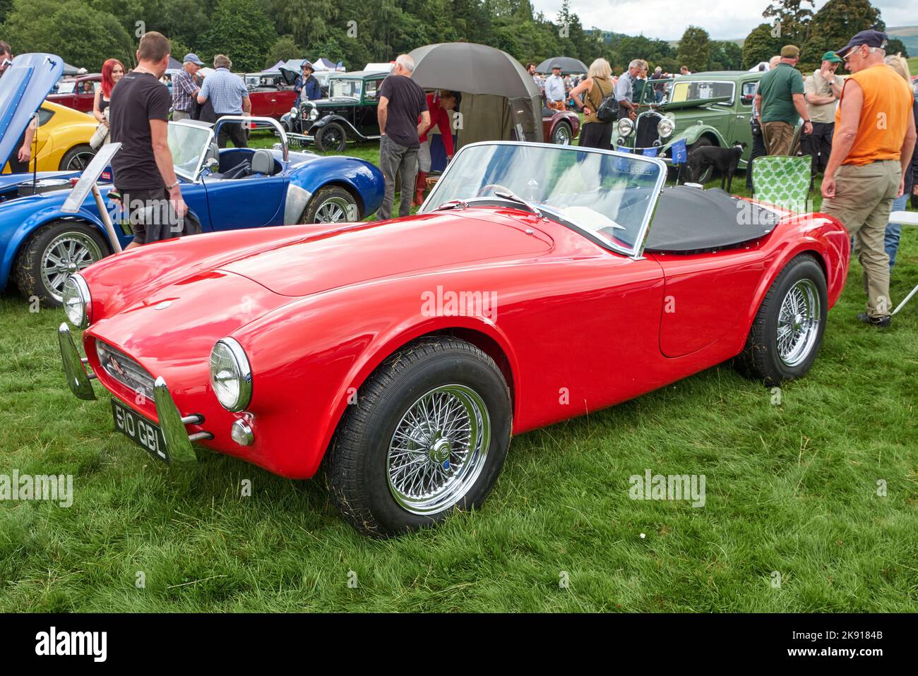 Ac Cobra Sehr Seltener Prototyp Auf Der Dalemain Classic Car