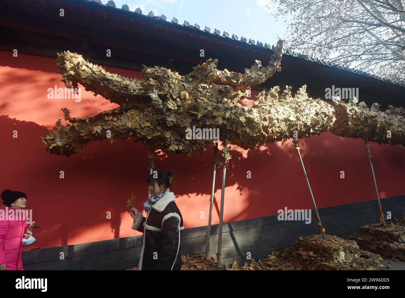 Hangzhou China Dezember Ein Meter Langer Drache Aus