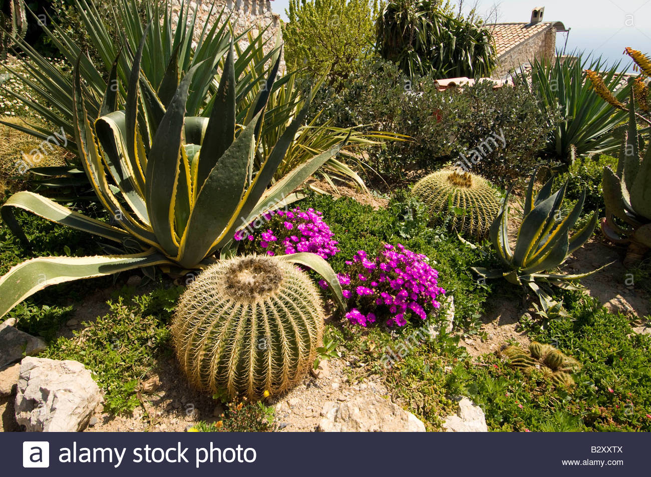 Botanischer Garten, EzeVillage, Cote d ' Azur, Frankreich Stockfoto