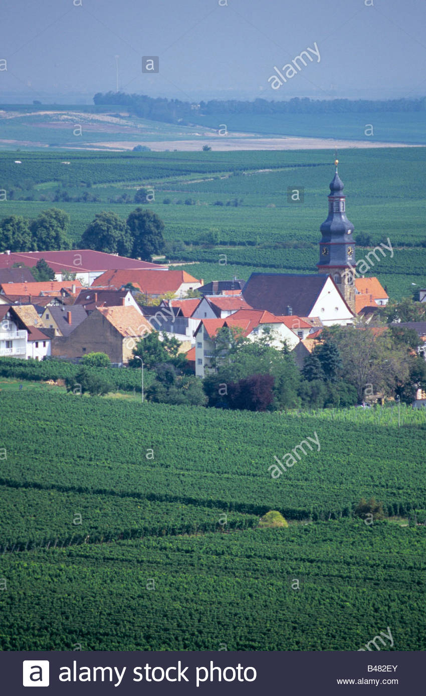 Single pfalz