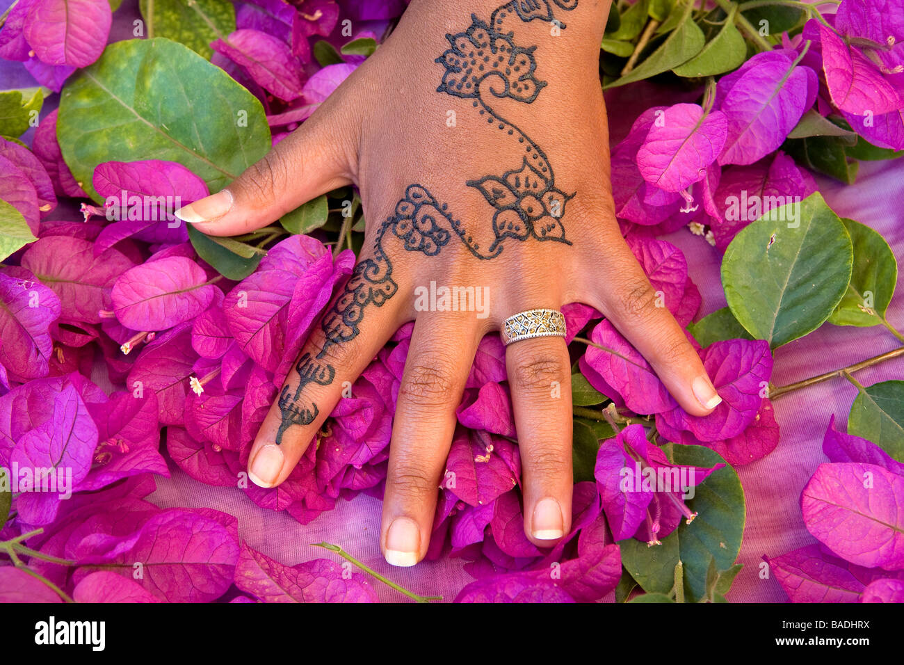marokko marrakesch kaiserstadt henna tattoo auf der hand marokko marrakesch kaiserstadt henna tattoo auf der hand