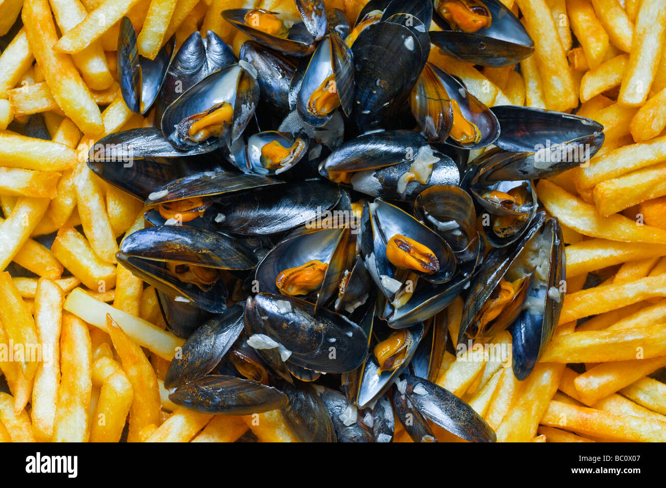 Miesmuscheln Mit Pommes Frites Moules Frites - Rezepte Suchen