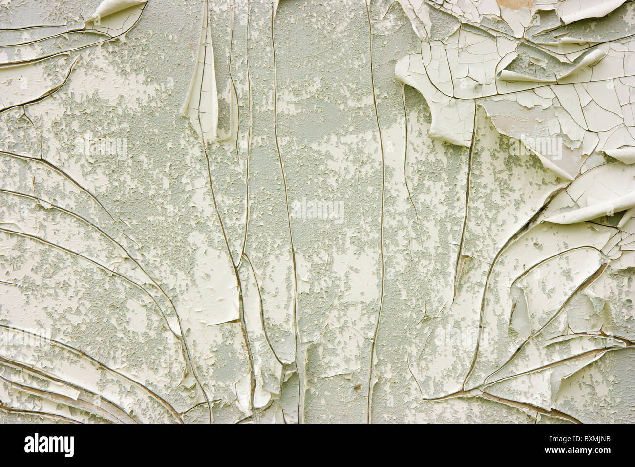 White Plaster Seamless Texture Background Stockfotos & White Plaster